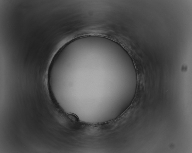 X0000102820148200809081139