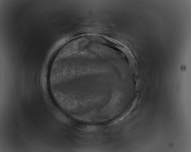 X0000102820149200809081139