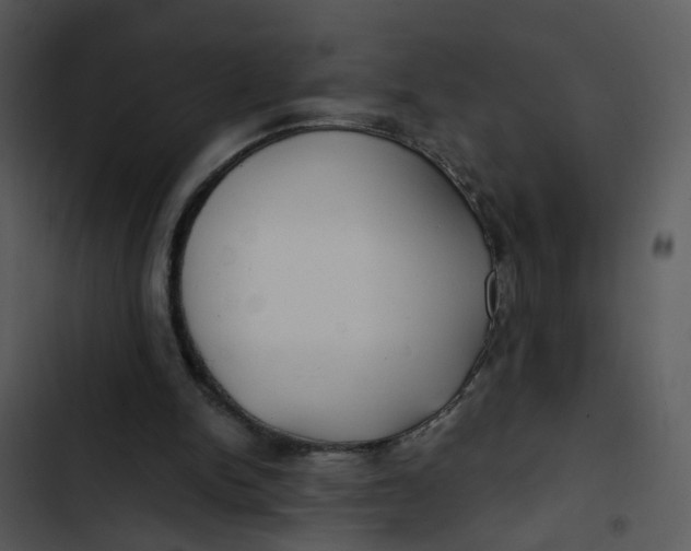 X0000102820150200809081139