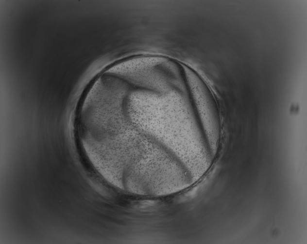 X0000102820151200809081139