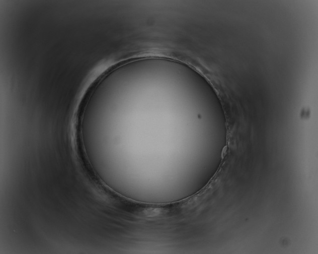 X0000102820152200809081139