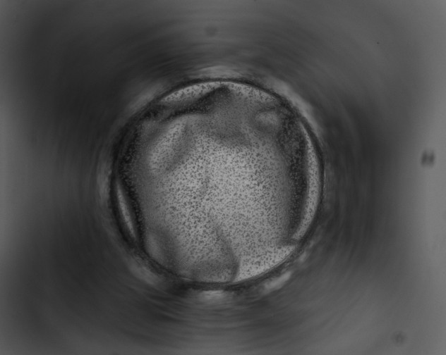 X0000102820153200809081139