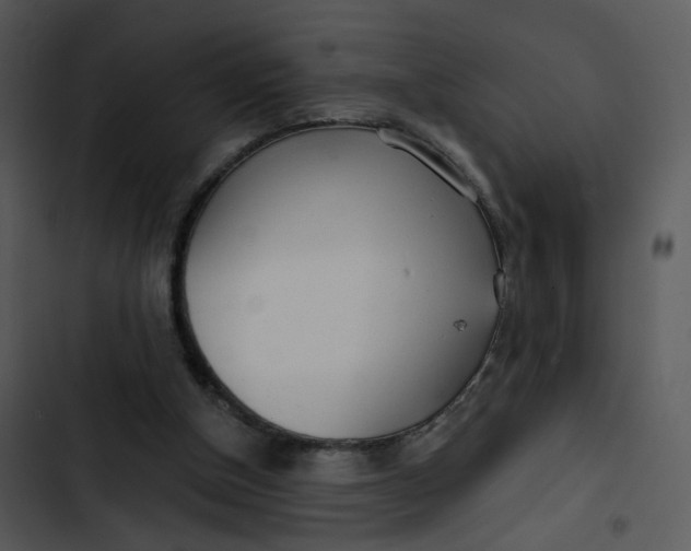 X0000102820154200809081140