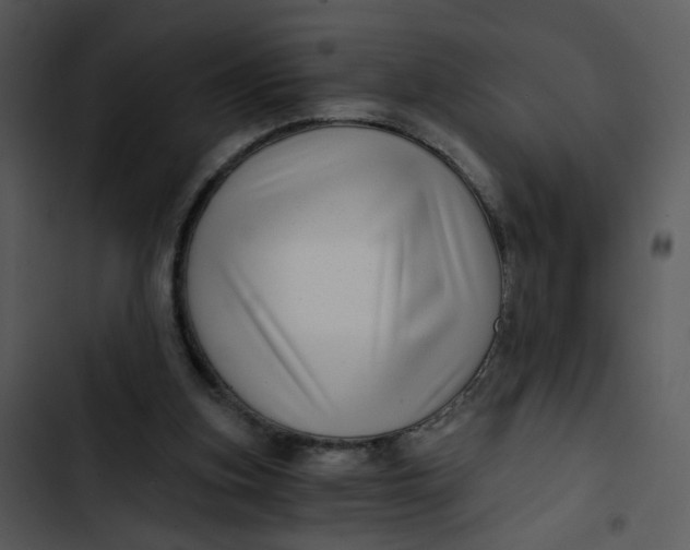 X0000102820155200809081140