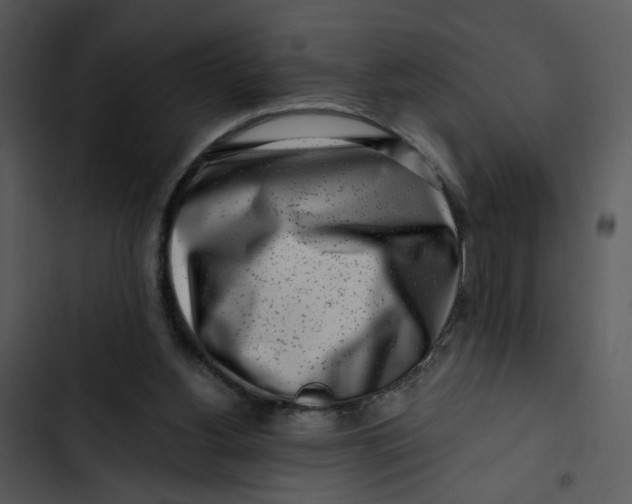 X0000102820156200809081140