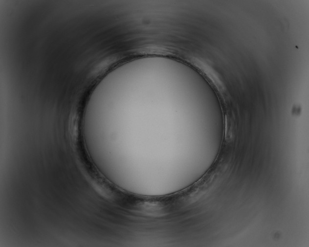 X0000102820157200809081140