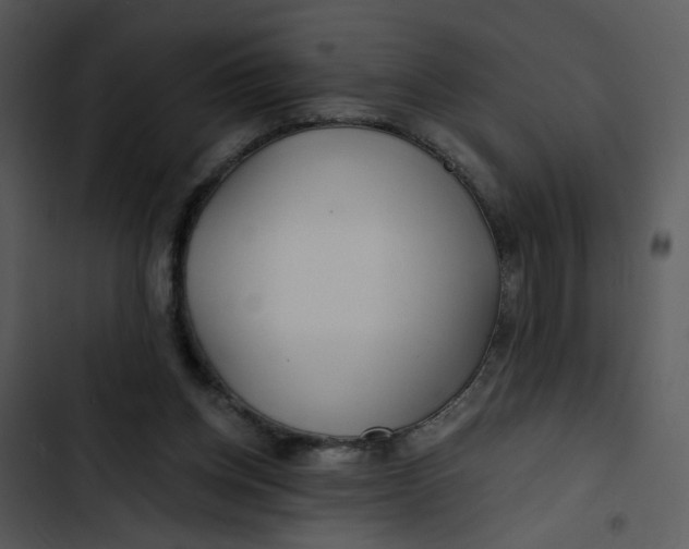 X0000102820158200809081140