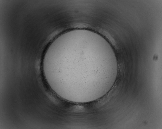 X0000102820159200809081140