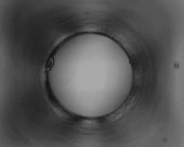 X0000102820160200809081140