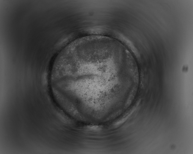 X0000102820161200809081140