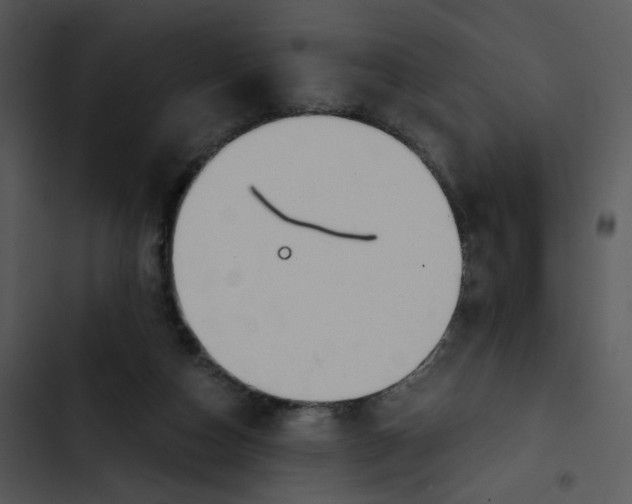 X0000102820162200809081140