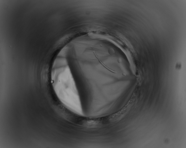 X0000102820163200809081140