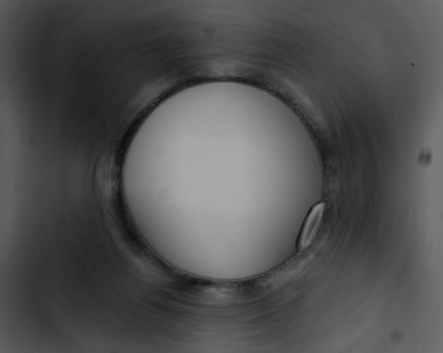 X0000102820164200809081140