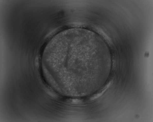 X0000102820165200809081140