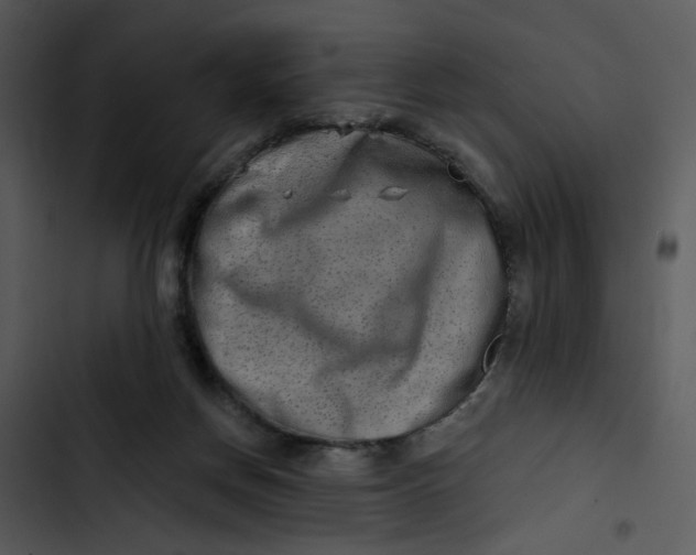 X0000102820166200809081140