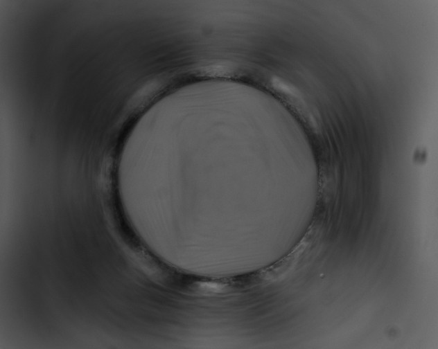 X0000102820167200809081140