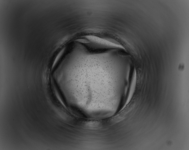 X0000102820168200809081140