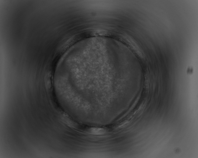 X0000102820169200809081140