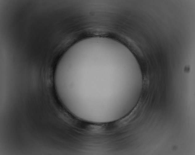 X0000102820170200809081140