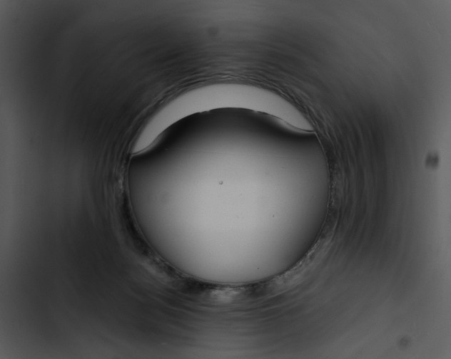 X0000102820172200809081140