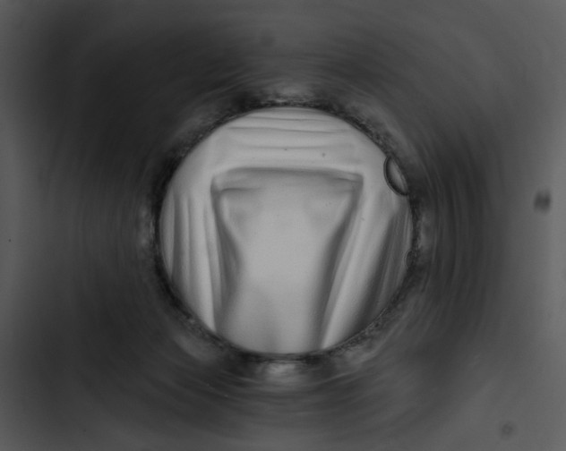 X0000102820173200809081140