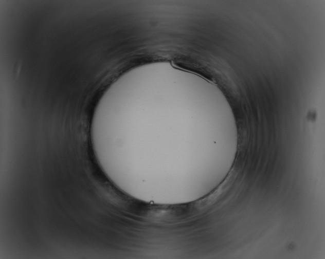 X0000102820174200809081140