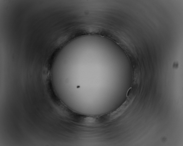 X0000102820176200809081140