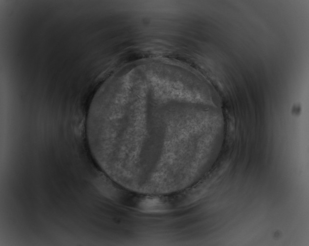 X0000102820177200809081140