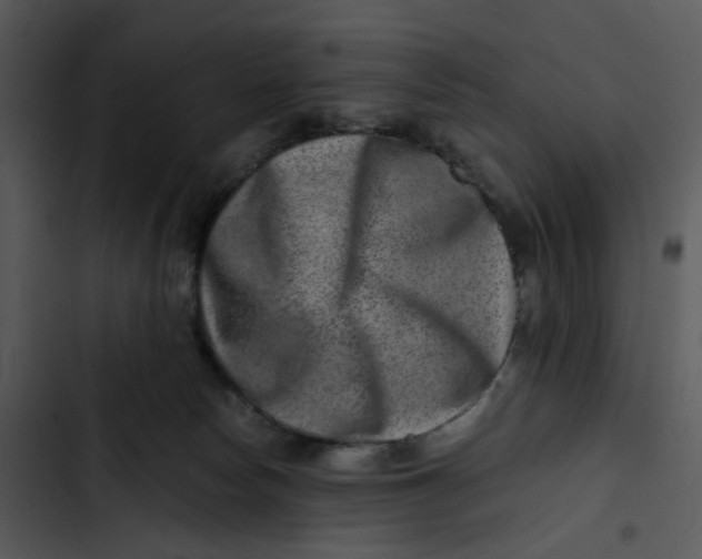 X0000102820178200809081140