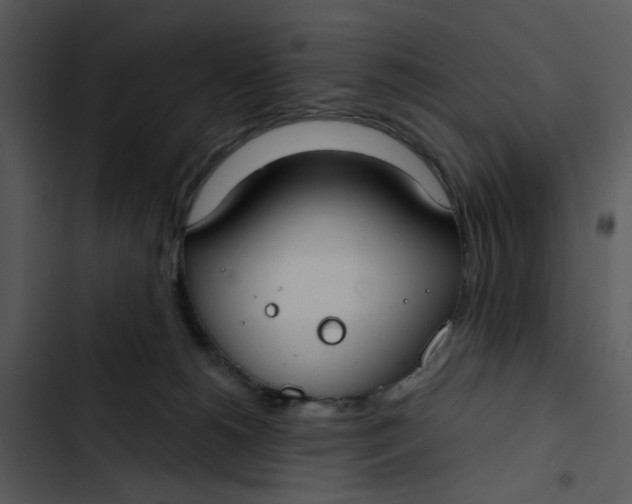 X0000102820180200809081140