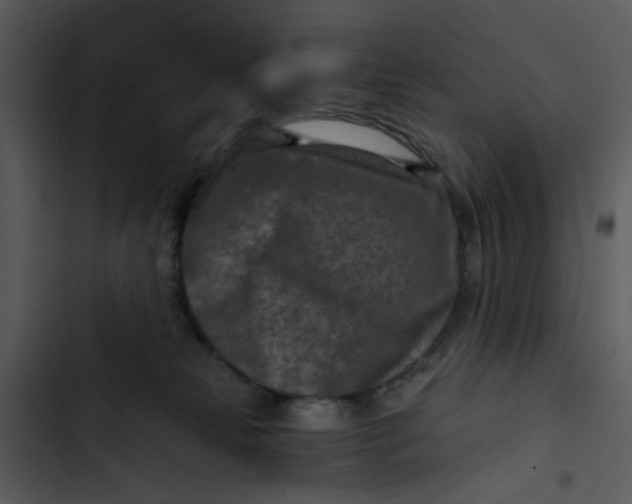 X0000102820181200809081140