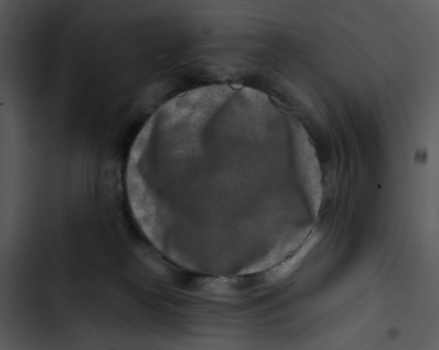 X0000102820182200809081140