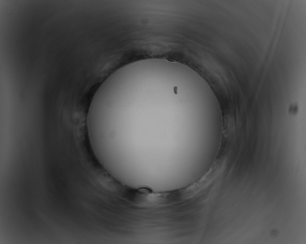 X0000102820184200809081140