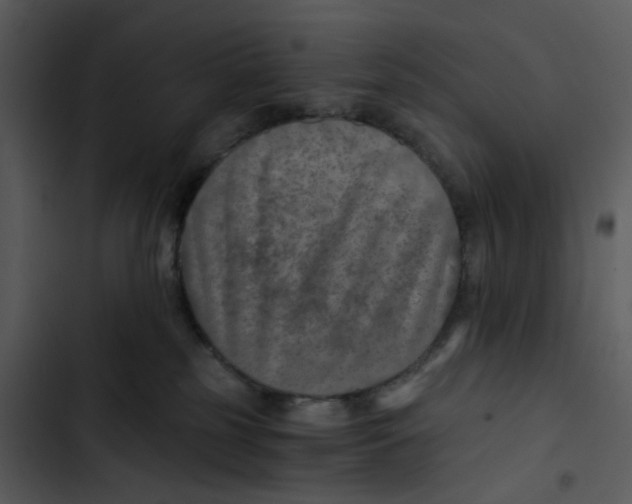 X0000102820185200809081140