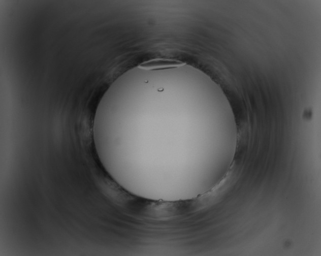 X0000102820186200809081140