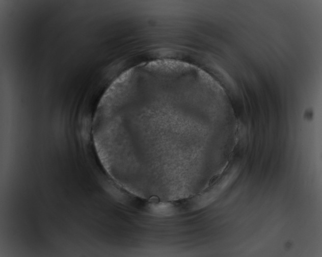 X0000102820189200809081140