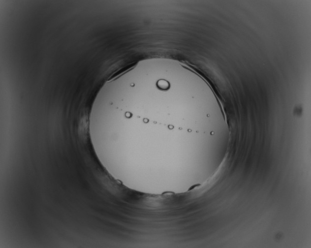 X0000102820190200809081140