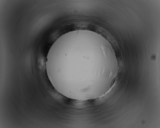 X0000102820191200809081140