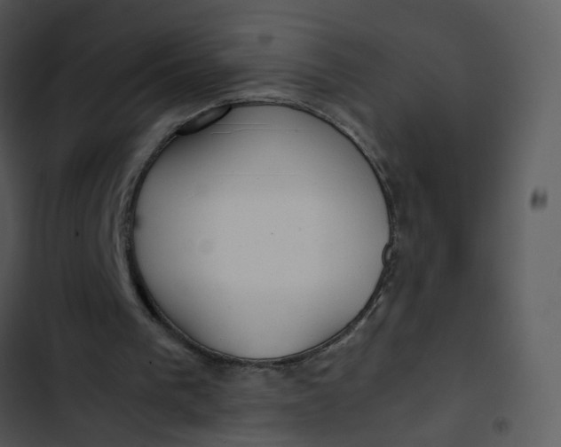 X0000102820193200809081139