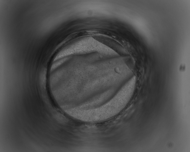 X0000102820194200809081139