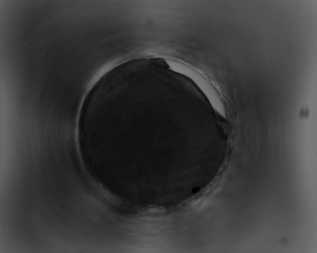 X0000102820196200809081139