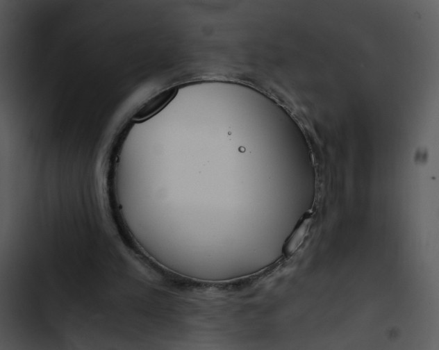 X0000102820197200809081139