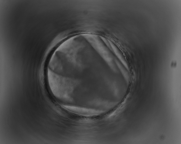 X0000102820198200809081139