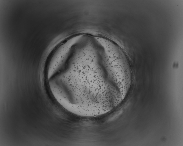 X0000102820199200809081139