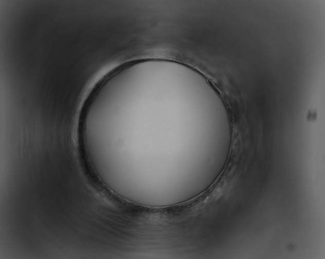 X0000102820200200809081139