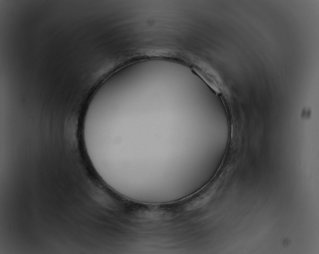 X0000102820201200809081139