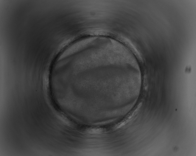 X0000102820202200809081139