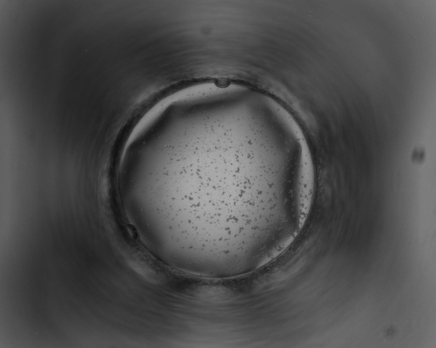 X0000102820203200809081139