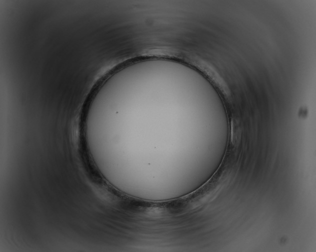 X0000102820204200809081139