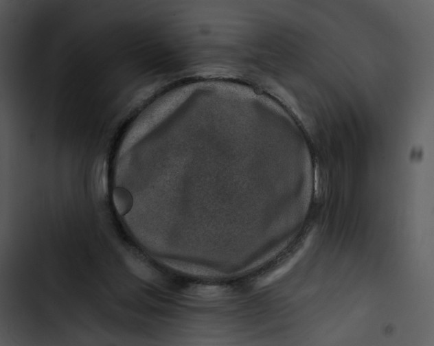 X0000102820205200809081139